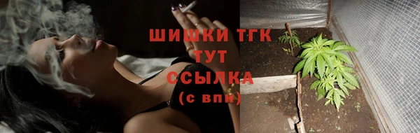 тгк Ростов